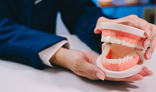 how dentures work everything you need to know before getting them